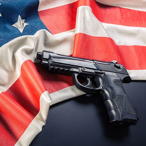 gun rights