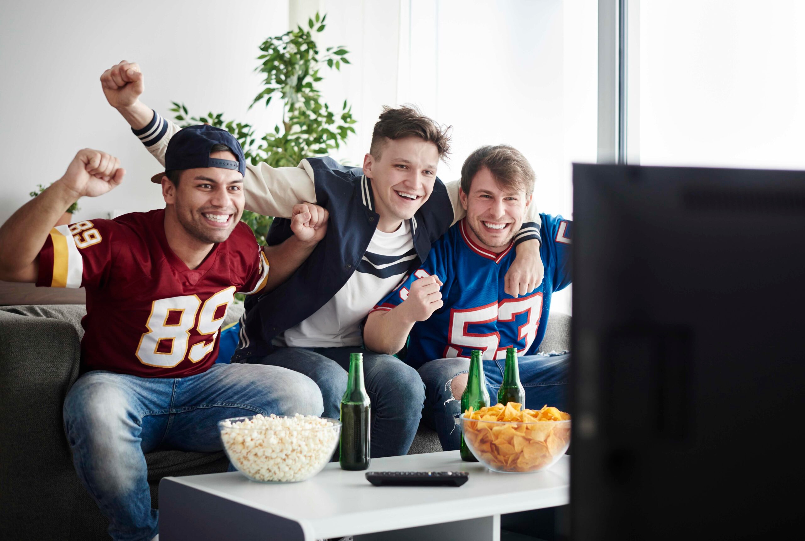 sports fans audiences